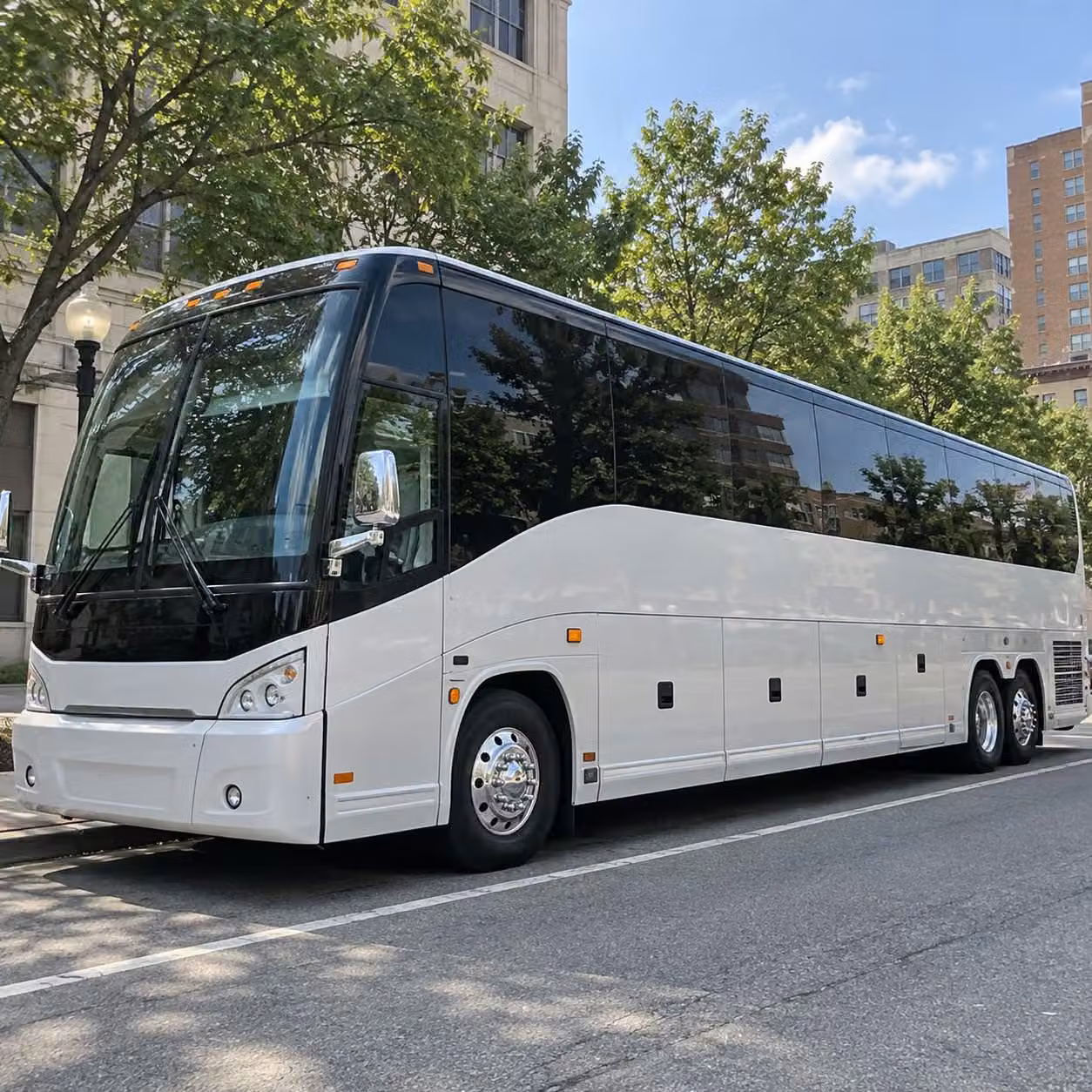 book prom transportation in carrollton or any city nearby